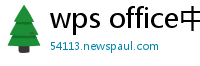 wps office中文版
